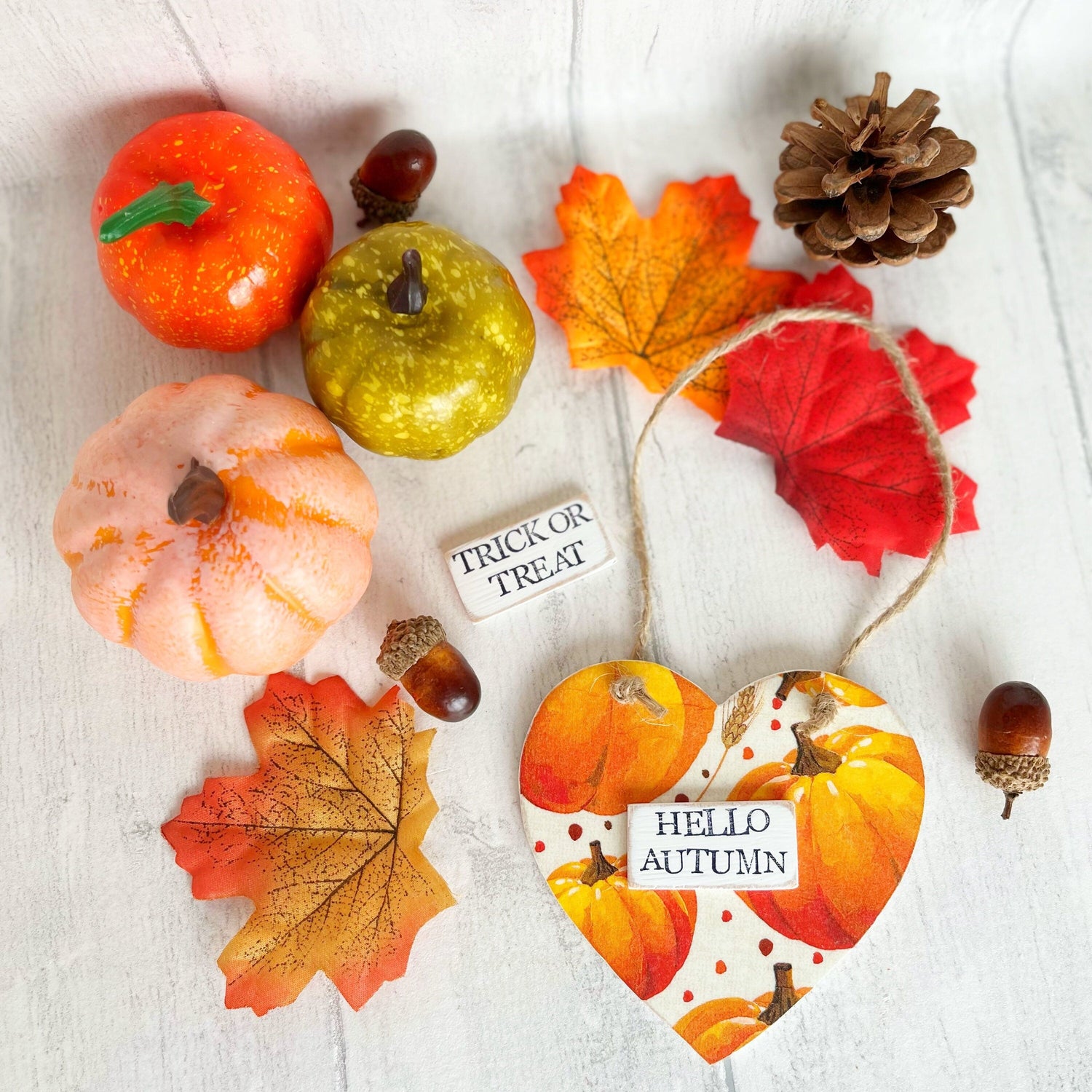 Autumn Collection